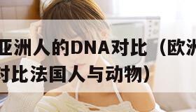 欧洲人与亚洲人的DNA对比（欧洲人与亚洲人的dna对比法国人与动物）