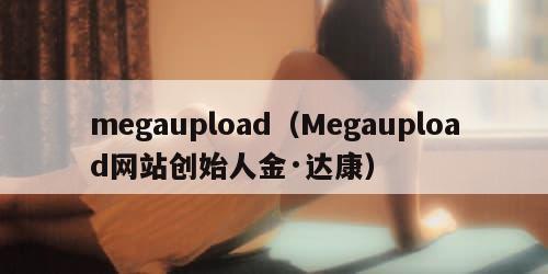 megaupload（Megaupload网站创始人金·达康）