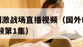 国外b站刺激战场直播视频（国外B站刺激战场直播视频第1集）