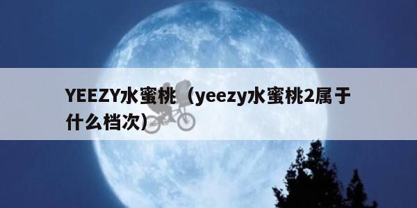 YEEZY水蜜桃（yeezy水蜜桃2属于什么档次）