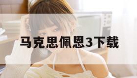 马克思佩恩3下载