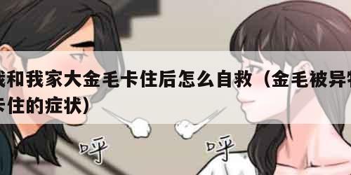 我和我家大金毛卡住后怎么自救（金毛被异物卡住的症状）