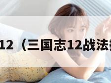 三国12（三国志12战法排行）