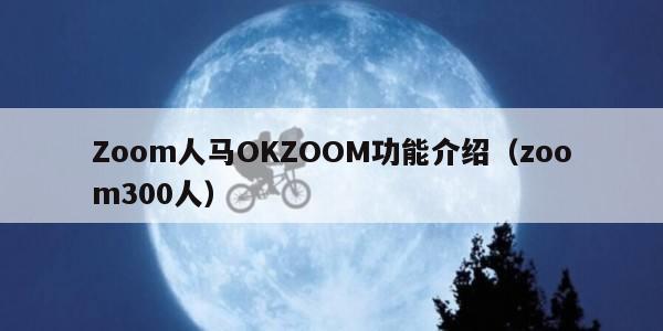 Zoom人马OKZOOM功能介绍（zoom300人）