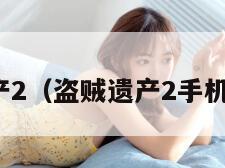 盗贼遗产2（盗贼遗产2手机版下载）