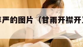 甘雨失去尊严的图片（甘雨开襟开叉裙鞋子选择）