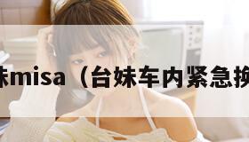 台妹misa（台妹车内紧急换装）