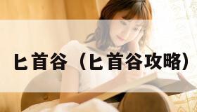 匕首谷（匕首谷攻略）