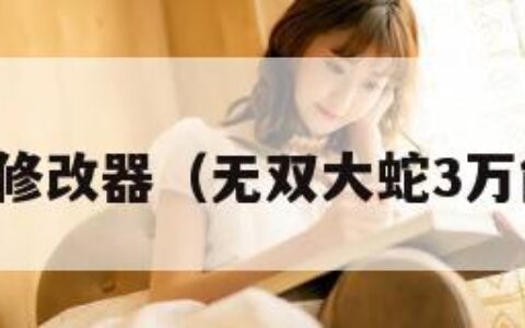 大蛇无双修改器（无双大蛇3万能修改器）