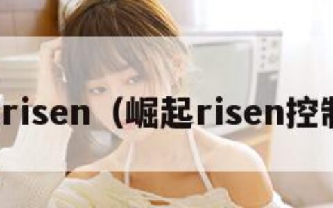崛起risen（崛起risen控制台）