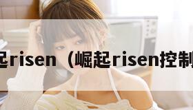 崛起risen（崛起risen控制台）
