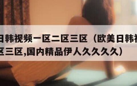 欧美日韩视频一区二区三区（欧美日韩视频一区二区三区,国内精品伊人久久久久）