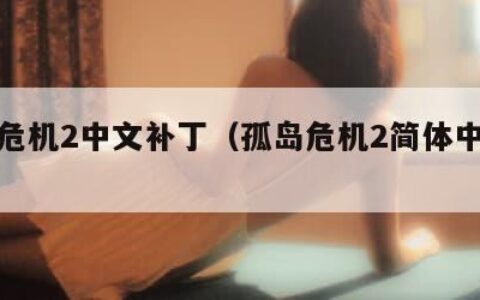 孤岛危机2中文补丁（孤岛危机2简体中文补丁）