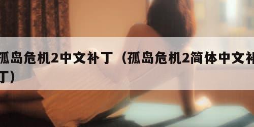 孤岛危机2中文补丁（孤岛危机2简体中文补丁）