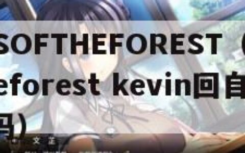 SONSOFTHEFOREST（sonsoftheforest kevin回自动跟随吗）
