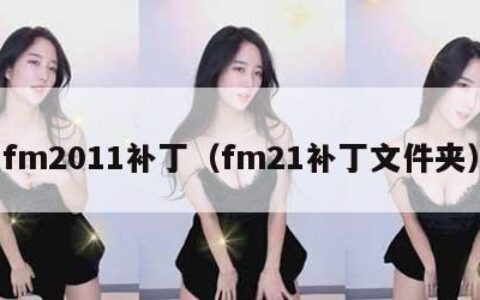 fm2011补丁（fm21补丁文件夹）