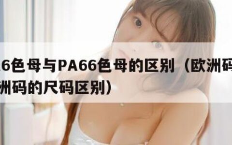 PA6色母与PA66色母的区别（欧洲码和亚洲码的尺码区别）