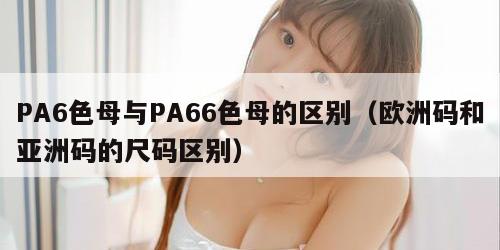PA6色母与PA66色母的区别（欧洲码和亚洲码的尺码区别）