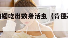 肯德基吃鸡翅吃出数条活虫（肯德基鸡翅有虫子怎么办）