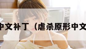 虐杀原形中文补丁（虐杀原形中文补丁教程）