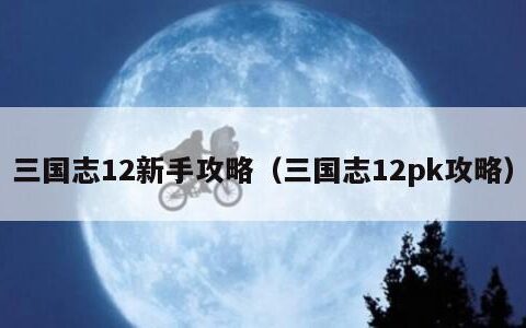 三国志12新手攻略（三国志12pk攻略）