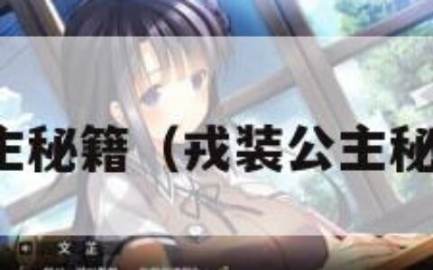 戎装公主秘籍（戎装公主秘籍代码）
