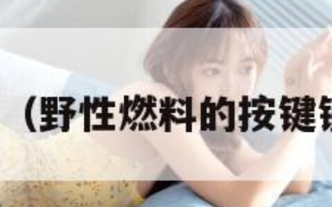 野性燃料（野性燃料的按键键没反应）