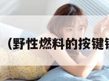 野性燃料（野性燃料的按键键没反应）