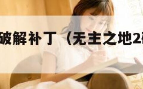 无主之地2破解补丁（无主之地2破解中文设置）