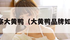 山寨大黄鸭（大黄鸭品牌如何）