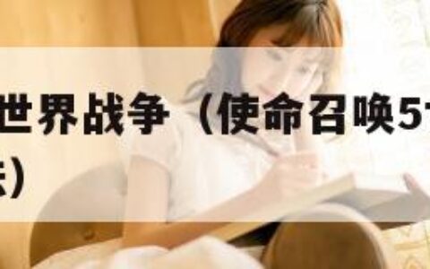 使命召唤5世界战争（使命召唤5世界战争秘籍使用方法）