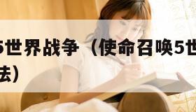 使命召唤5世界战争（使命召唤5世界战争秘籍使用方法）