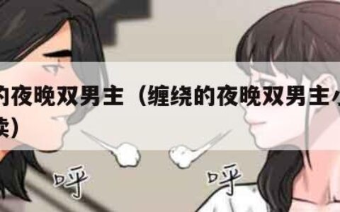 缠绕的夜晚双男主（缠绕的夜晚双男主小说在线阅读）
