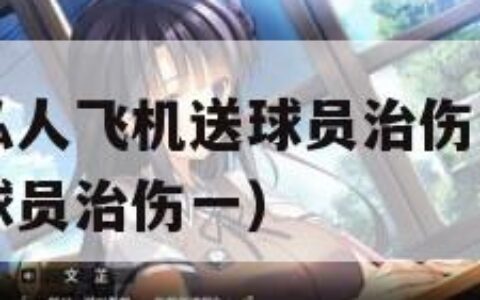 沙特王储用私人飞机送球员治伤（沙特王储用私人飞机送球员治伤一）