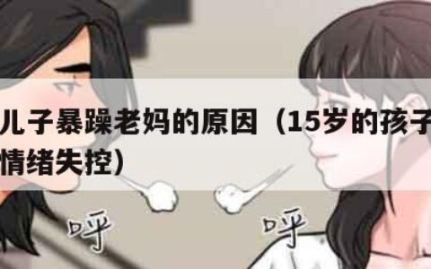 叛逆儿子暴躁老妈的原因（15岁的孩子暴躁易怒情绪失控）