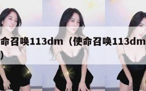 使命召唤113dm（使命召唤113dm论坛）