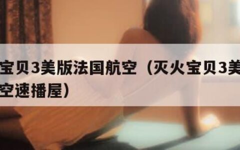 灭火宝贝3美版法国航空（灭火宝贝3美版法国航空速播屋）