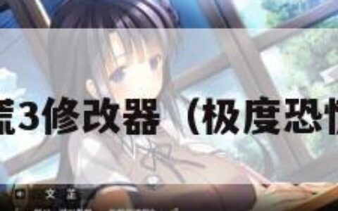 极度恐慌3修改器（极度恐慌3全屏）