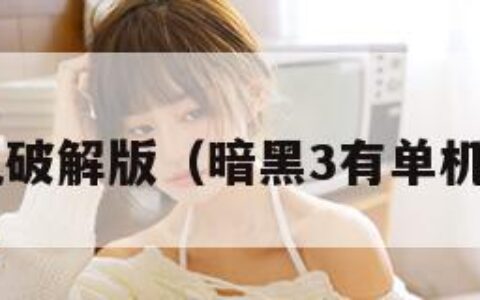 暗黑3单机破解版（暗黑3有单机破解版吗）