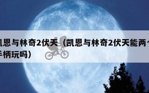 凯恩与林奇2伏天（凯恩与林奇2伏天能两个手柄玩吗）