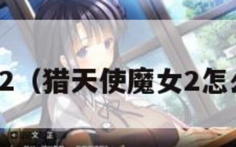 猎天使魔女2（猎天使魔女2怎么设置中文）