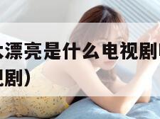 儿媳妇长的太漂亮是什么电视剧啊（日剧儿媳叫爸爸的电视剧）