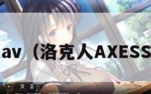 洛克人av（洛克人AXESS 49集）