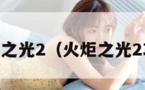 3dm火炬之光2（火炬之光2攻略大全）