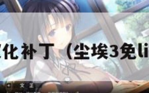 尘埃3汉化补丁（尘埃3免live补丁）