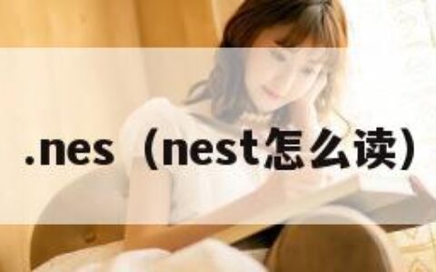 .nes（nest怎么读）