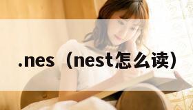 .nes（nest怎么读）