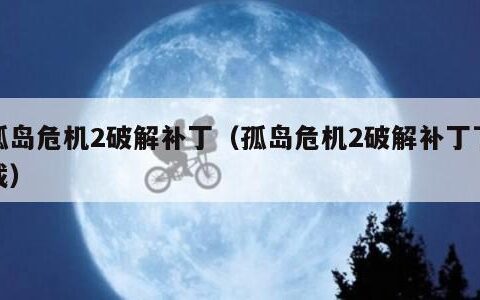 孤岛危机2破解补丁（孤岛危机2破解补丁下载）