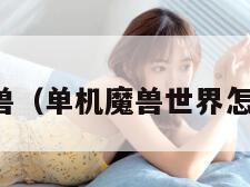 单机魔兽（单机魔兽世界怎么下载）