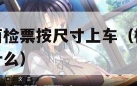 检票员用下面检票按尺寸上车（检票的时候检票员应该说什么）